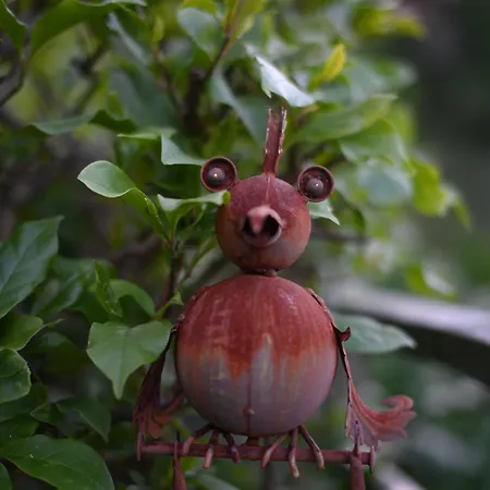 Διαμέρισμα Casa Rigor *