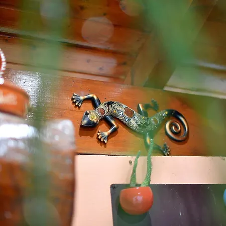 Διαμέρισμα Casa Rigor Rio Caldo