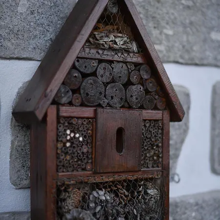 Casa Rigor Rio Caldo