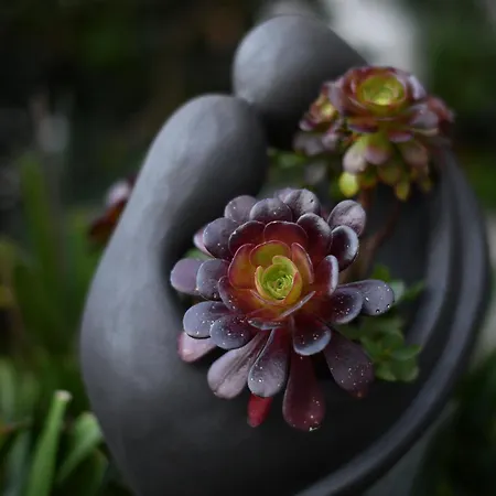 Διαμέρισμα Casa Rigor