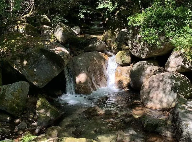 Casa Rigor Apartamento *