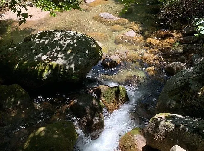 Casa Rigor Apartamento