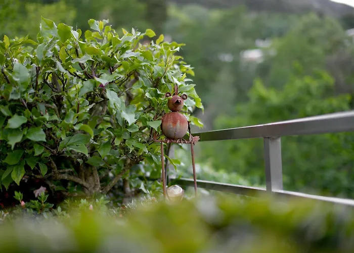 Apartamento Casa Rigor
