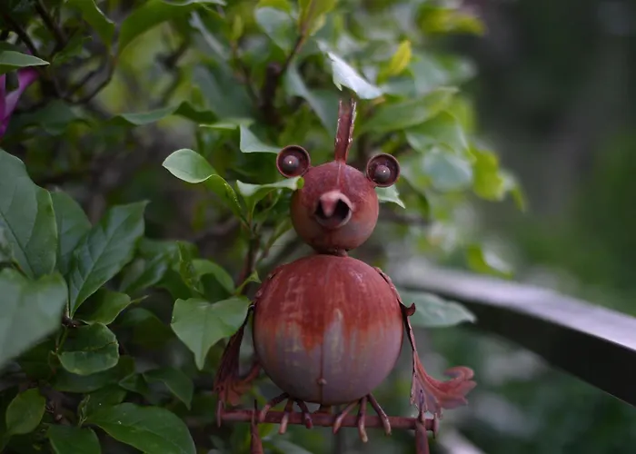 Apartamento Casa Rigor *