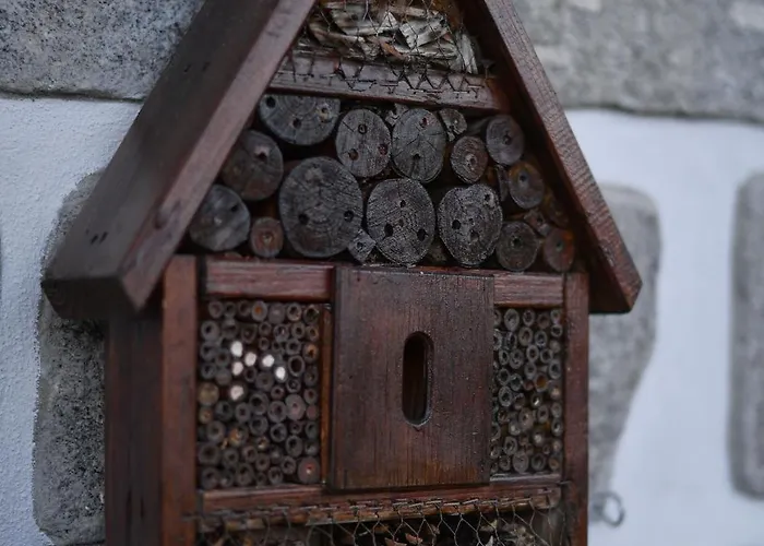 Casa Rigor Rio Caldo