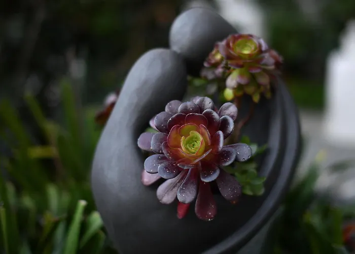 Apartamento Casa Rigor